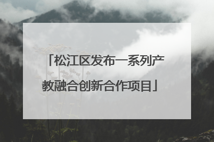 松江区发布一系列产教融合创新合作项目