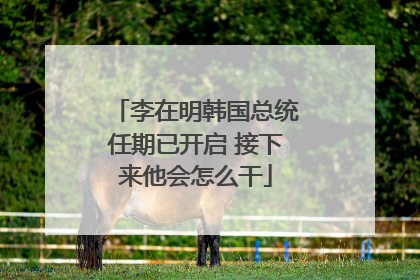 李在明韩国总统任期已开启 接下来他会怎么干