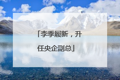 李季履新，升任央企副总