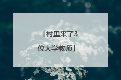 村里来了3位大学教师