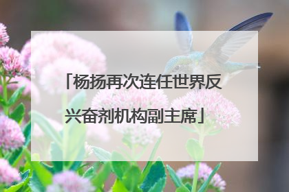 杨扬再次连任世界反兴奋剂机构副主席