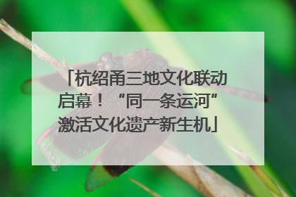 杭绍甬三地文化联动启幕！“同一条运河”激活文化遗产新生机