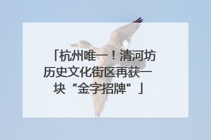 杭州唯一！清河坊历史文化街区再获一块“金字招牌”