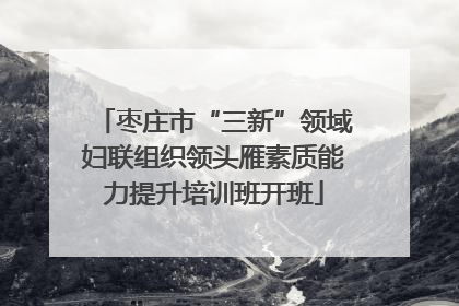 枣庄市“三新”领域妇联组织领头雁素质能力提升培训班开班