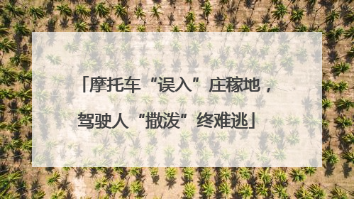 摩托车“误入”庄稼地，驾驶人“撒泼”终难逃