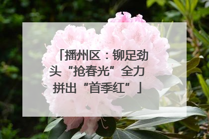 播州区：铆足劲头“抢春光”全力拼出“首季红”