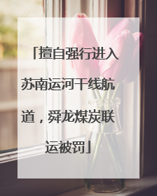 擅自强行进入苏南运河干线航道，舜龙煤炭联运被罚