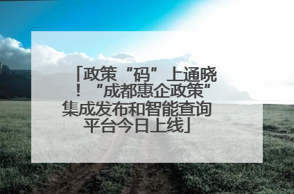 政策“码”上通晓！“成都惠企政策”集成发布和智能查询平台今日上线