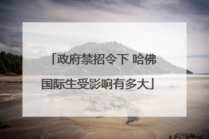 政府禁招令下 哈佛国际生受影响有多大