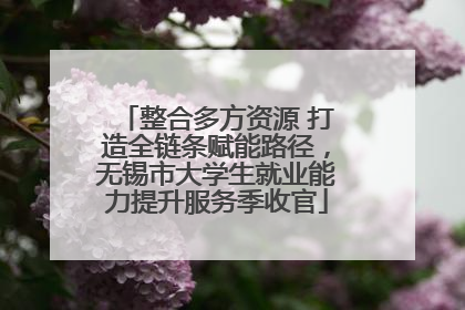 整合多方资源 打造全链条赋能路径，无锡市大学生就业能力提升服务季收官