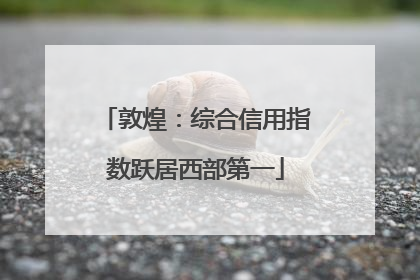 敦煌：综合信用指数跃居西部第一
