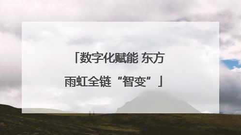 数字化赋能 东方雨虹全链“智变”