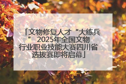 文物修复人才“大练兵” 2025年全国文物行业职业技能大赛四川省选拔赛即将启幕