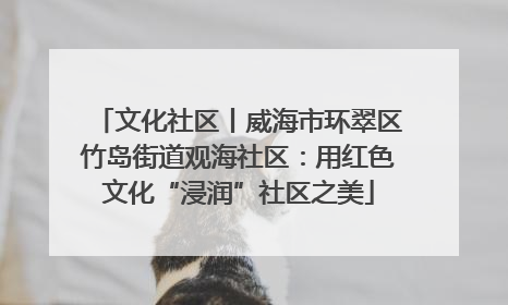 文化社区丨威海市环翠区竹岛街道观海社区：用红色文化“浸润”社区之美