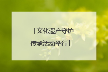文化遗产守护传承活动举行