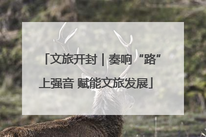 文旅开封｜奏响“路”上强音 赋能文旅发展