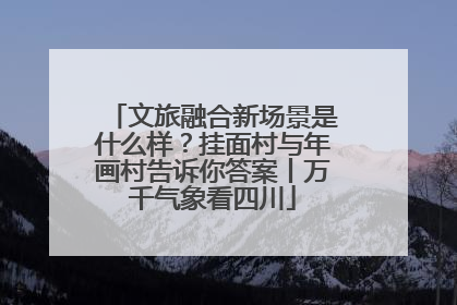 文旅融合新场景是什么样？挂面村与年画村告诉你答案丨万千气象看四川