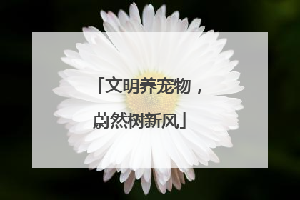 文明养宠物，蔚然树新风