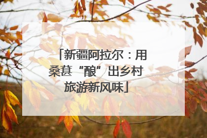 新疆阿拉尔：用桑葚“酿”出乡村旅游新风味