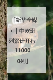 新华全媒+｜中欧班列累计开行110000列