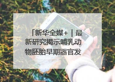 新华全媒+｜最新研究揭示哺乳动物胚胎早期器官发育“密码”