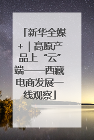 新华全媒+｜高原产品上“云”端——西藏电商发展一线观察