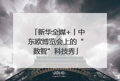 新华全媒+丨中东欧博览会上的“数智”科技秀