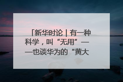 新华时论｜有一种科学，叫“无用”——也谈华为的“黄大年茶思屋”