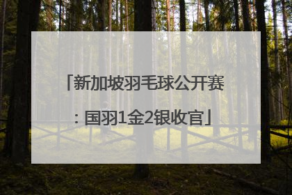 新加坡羽毛球公开赛：国羽1金2银收官