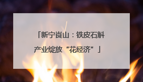 新宁崀山：铁皮石斛产业绽放“花经济”
