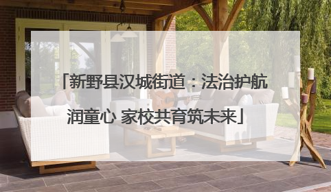 新野县汉城街道：法治护航润童心 家校共育筑未来