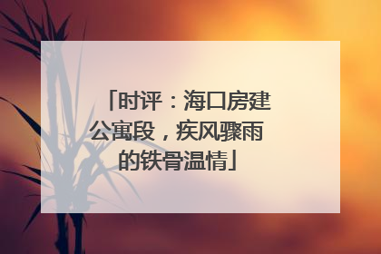 时评：海口房建公寓段，疾风骤雨的铁骨温情