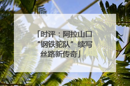 时评：阿拉山口“钢铁驼队”续写丝路新传奇