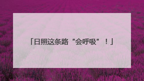 日照这条路“会呼吸”！