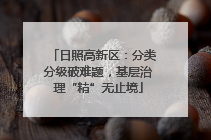 日照高新区：分类分级破难题，基层治理“精”无止境