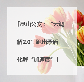 昆山公安：“云调解2.0”跑出矛盾化解“加速度”