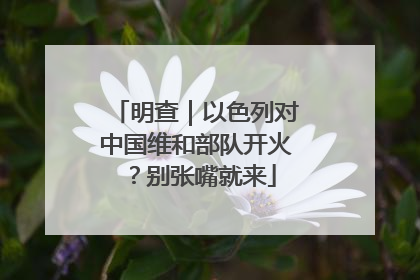 明查｜以色列对中国维和部队开火？别张嘴就来