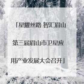星耀丝路 智汇眉山 第三届眉山市卫星应用产业发展大会召开