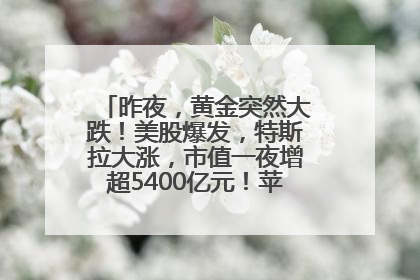 昨夜，黄金突然大跌！美股爆发，特斯拉大涨，市值一夜增超5400亿元！苹果传来大消息