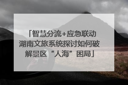 智慧分流+应急联动 湖南文旅系统探讨如何破解景区“人海”困局