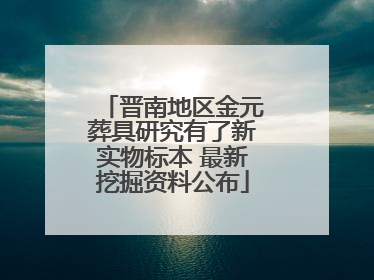 晋南地区金元葬具研究有了新实物标本 最新挖掘资料公布