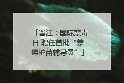 晋江：国际禁毒日 聘任首批“禁毒护苗辅导员”