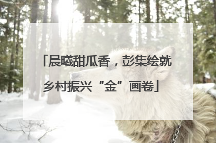 晨曦甜瓜香，彭集绘就乡村振兴“金”画卷