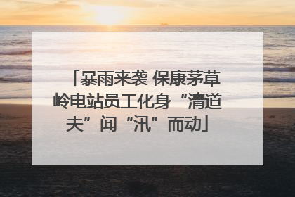 暴雨来袭 保康茅草岭电站员工化身“清道夫”闻“汛”而动