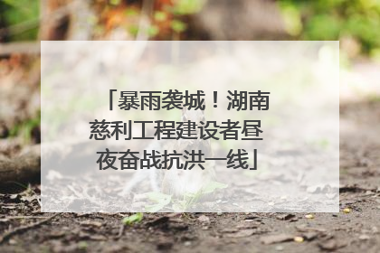 暴雨袭城！湖南慈利工程建设者昼夜奋战抗洪一线