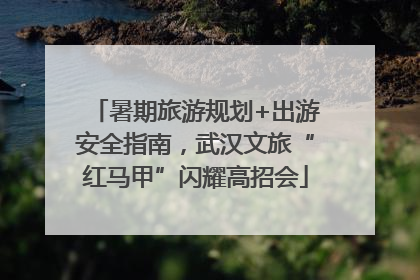 暑期旅游规划+出游安全指南，武汉文旅“红马甲”闪耀高招会