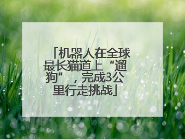 机器人在全球最长猫道上“遛狗”，完成3公里行走挑战