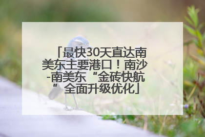 最快30天直达南美东主要港口！南沙-南美东“金砖快航”全面升级优化