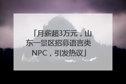 月薪超3万元，山东一景区招募语言类NPC，引发热议
