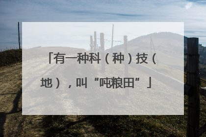 有一种科（种）技（地），叫“吨粮田”